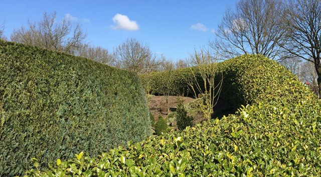 haies jardins de campagne